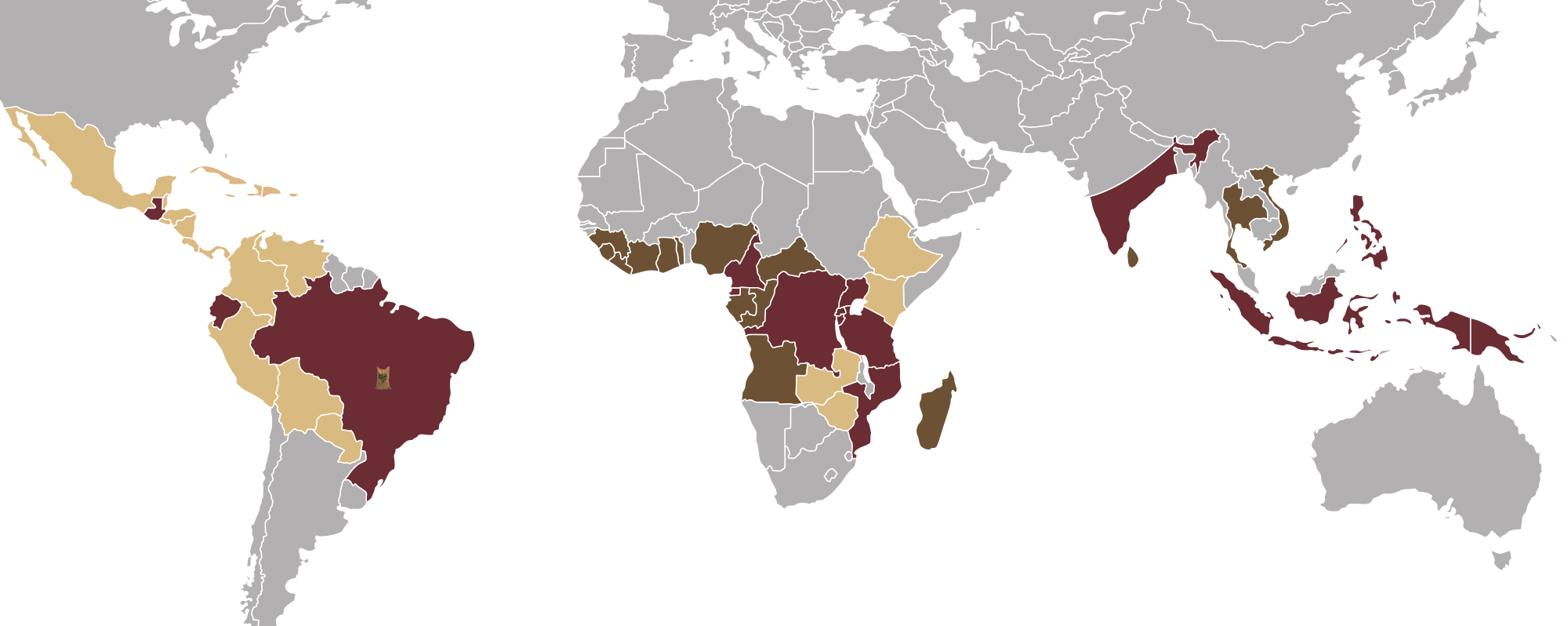 Verhältnis des Produzierten Kaffee in den Top 10 Anbaugebieten in Kaffeesäcken à 60 Kg.
